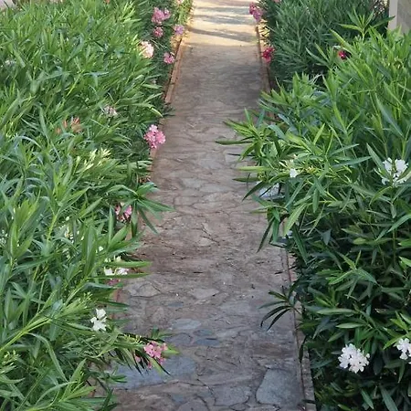 Fiori Di Cala Rossa *