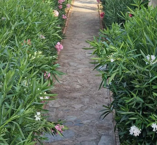 Fiori Di Cala Rossa *